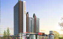 绵阳爱喜嘉年华工程