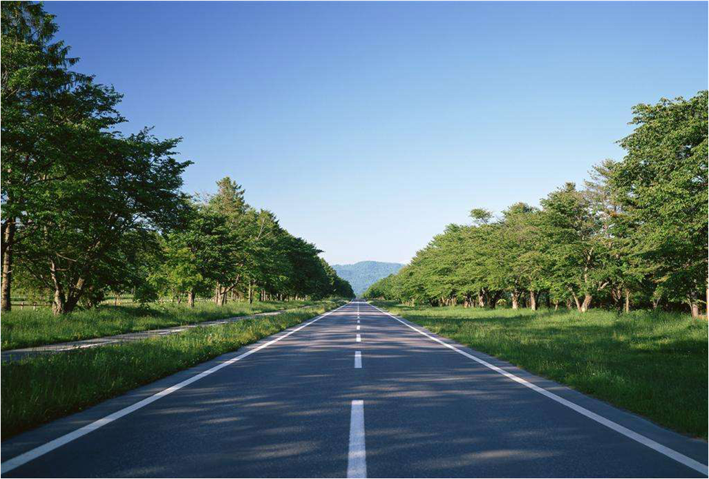 张掖市新加坡生态城一期道路工程