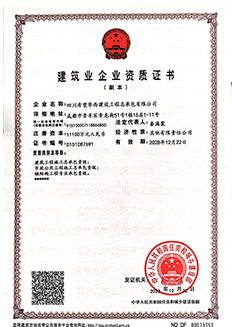 资质证书副本1